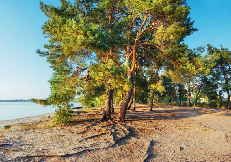 Camping am Meer in der Toskana zu verkaufen