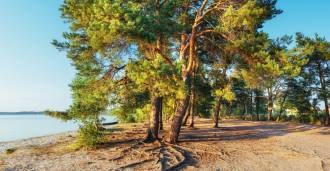 Camping am Meer in der Toskana zu verkaufen